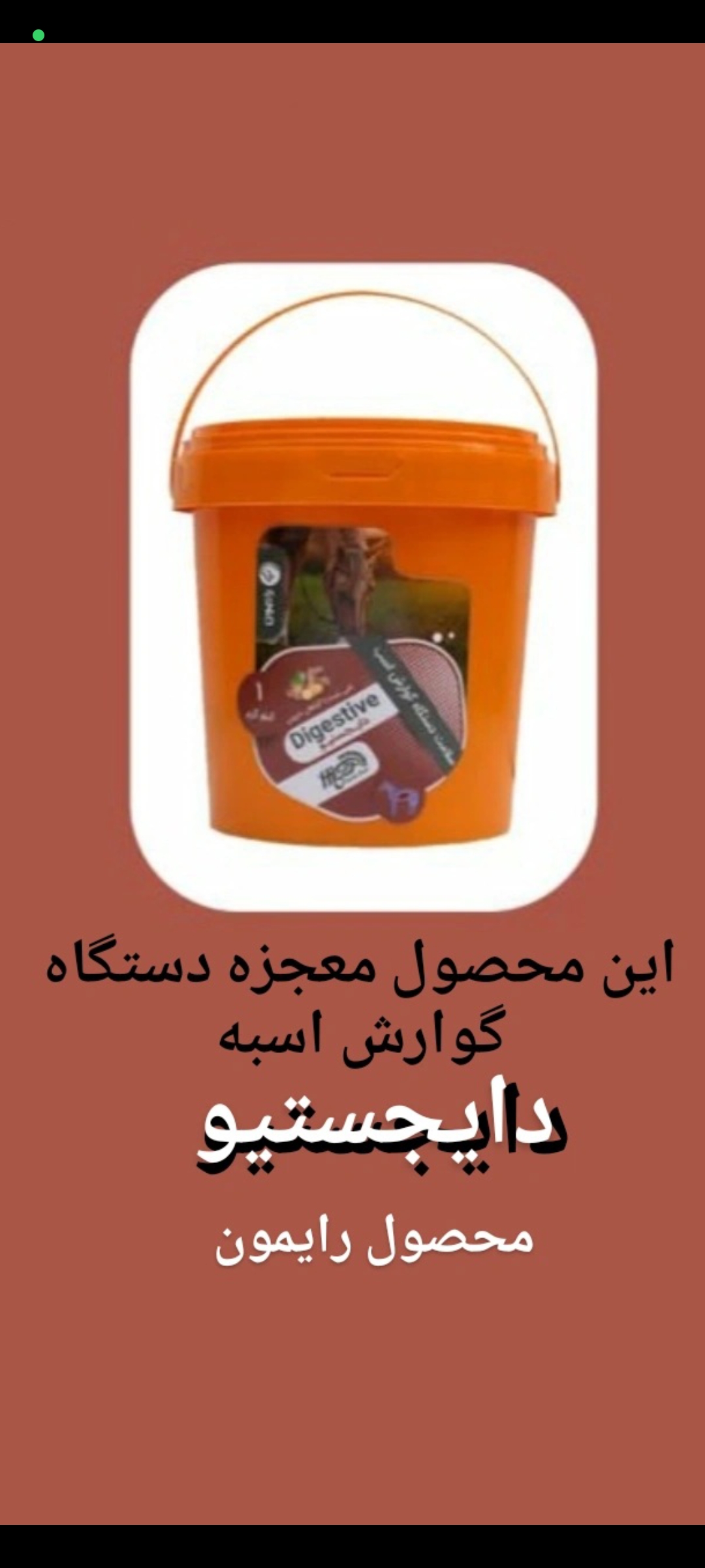 دایجستیو رایمون