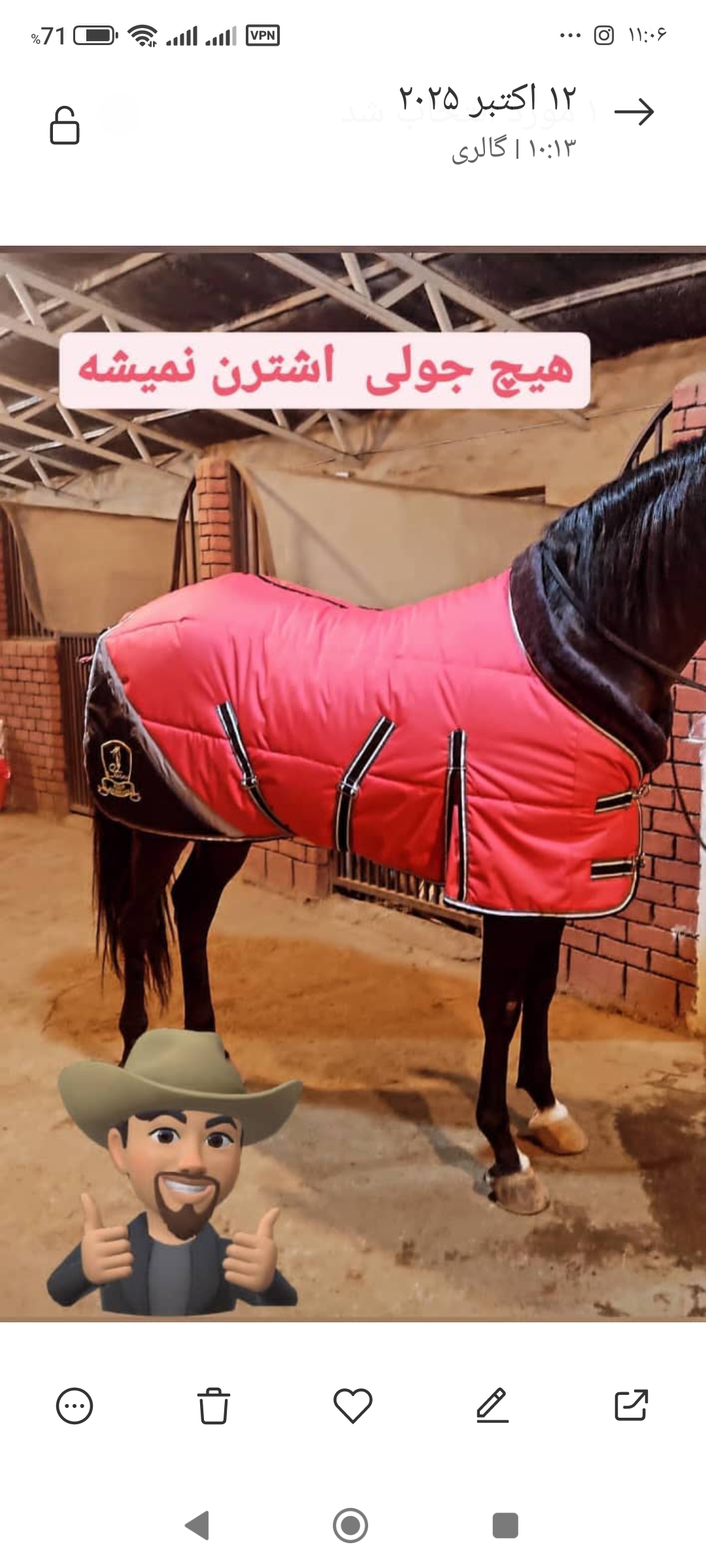 جول زمستانه اسب