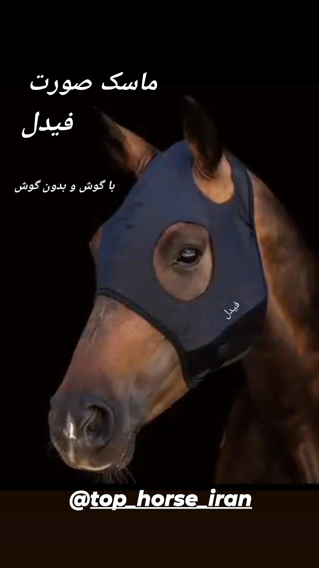 ماسک صورت اسب تیتانیوم فیدل