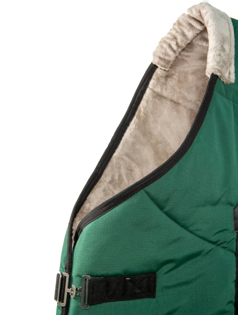 جل زمستانی فیدل